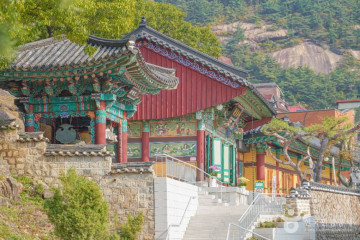 소림사(서울) 여행 추천 - 메고지고