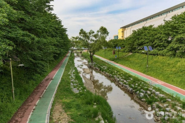 연세굿데이치과의원 양재점 여행 추천 - 메고지고