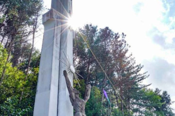 남이섬 여행 추천 - 메고지고