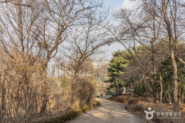 전주이씨광평대군파묘역 여행 추천 - 메고지고