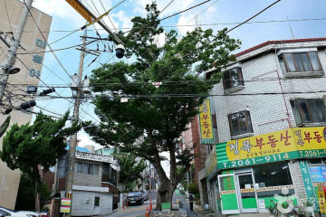 키즈런스포츠파크 목동점 여행 추천 - 메고지고