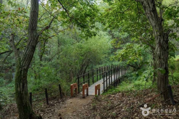 [서울둘레길 19코스] 북한산 성북코스 여행 추천 - 메고지고