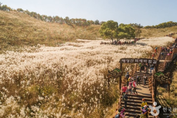 산정랜드 여행 추천 - 메고지고