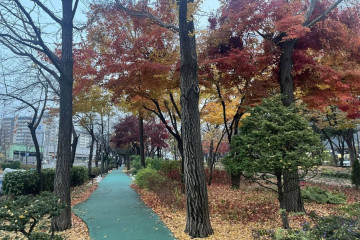 구로근린공원(이씨레물리노공원) 여행 추천 - 메고지고
