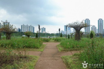 양천공원 여행 추천 - 메고지고