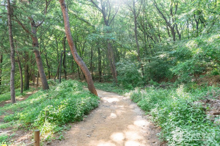 정발산공원 여행 추천 - 메고지고