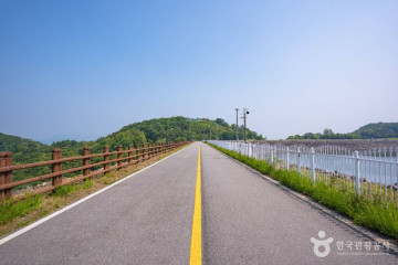 이탈리아마을 피노키오와 다빈치 여행 추천 - 메고지고