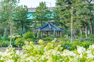장자호수공원 여행 추천 - 메고지고