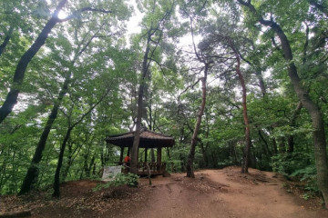 고양 서오릉 [유네스코 세계유산] 여행 추천 - 메고지고