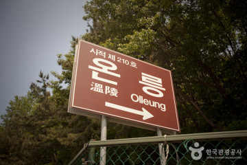 두리랜드 여행 추천 - 메고지고