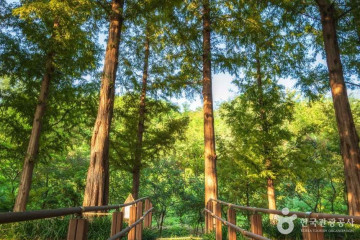 망원유수지체육공원 여행 추천 - 메고지고