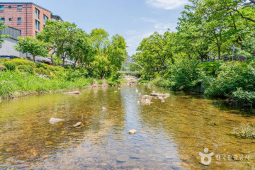 삼성산산림욕장 여행 추천 - 메고지고