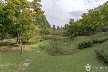 꿈의동산 여행 추천 - 메고지고