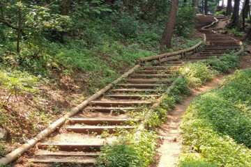양재천 근린공원 여행 추천 - 메고지고
