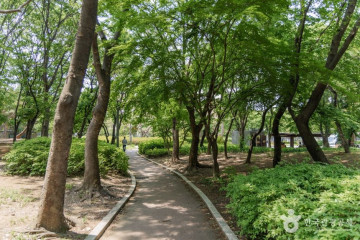연세굿데이치과의원 양재점 여행 추천 - 메고지고
