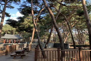 우이동만남의광장 여행 추천 - 메고지고