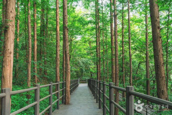 서대문 안산(안산자락길) 여행 추천 - 메고지고