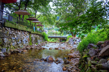 코코몽에코파크 (용인) 여행 추천 - 메고지고