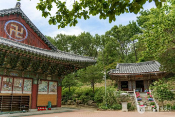 자라나는 숲(광진숲 나루 전망대) 여행 추천 - 메고지고