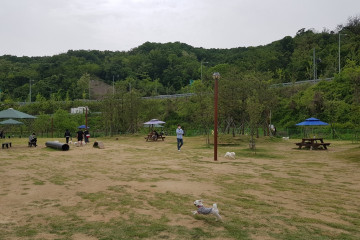 삼막사계곡 여행 추천 - 메고지고