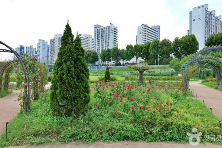 안양천 사계절 테마원 여행 추천 - 메고지고