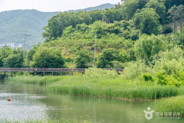 뿌리깊은나무숲 여행 추천 - 메고지고