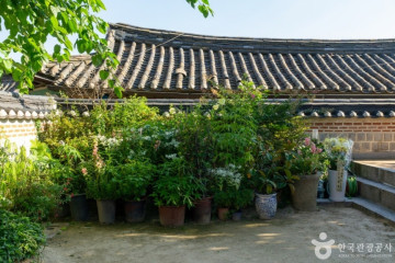 창덕궁 다래나무 여행 추천 - 메고지고