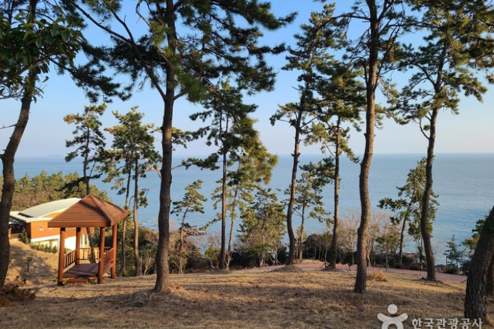 진도