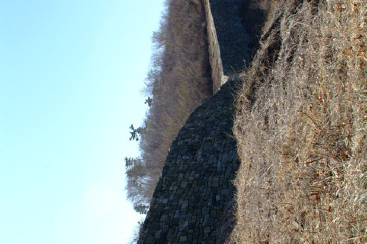 대국산성