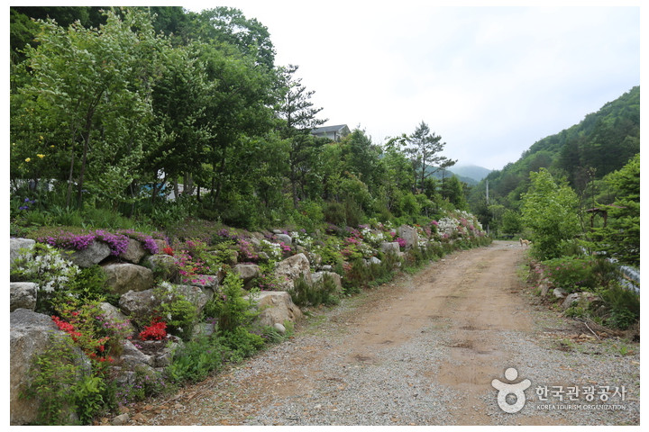 계방산(홍천)
