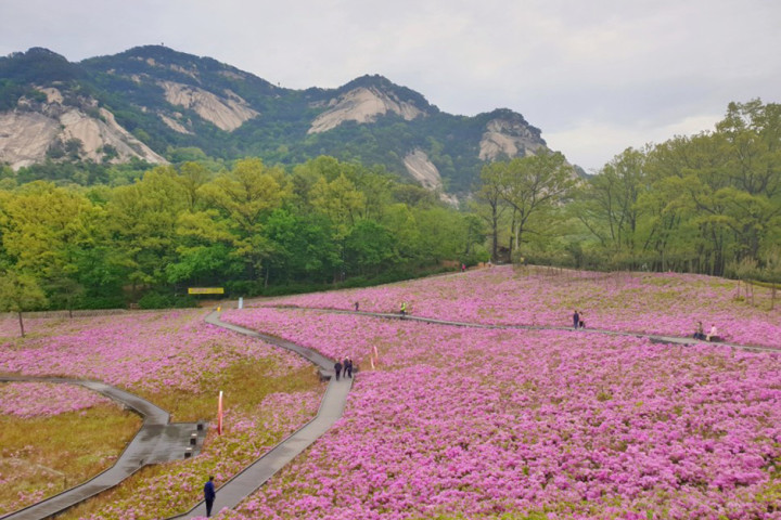불암산나비정원
