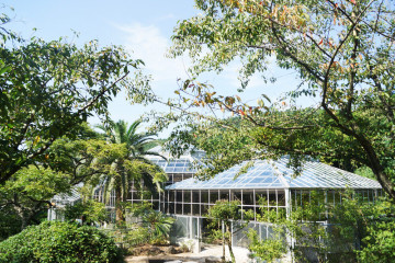 이호테우해수욕장 여행 추천 - 메고지고