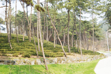 교도소세트장 여행 추천 - 메고지고